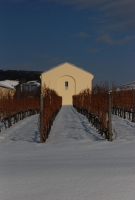 Téli séta a mennyei Tokaj-Hegyalján