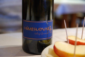 Téli séta a mennyei Tokaj-Hegyalján