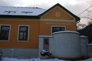 Téli séta a mennyei Tokaj-Hegyalján