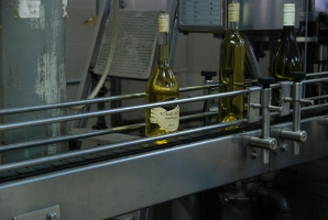 Téli séta a mennyei Tokaj-Hegyalján