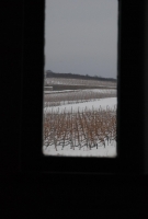 Téli séta a mennyei Tokaj-Hegyalján