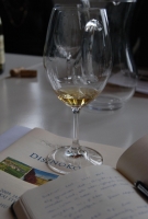 Téli séta a mennyei Tokaj-Hegyalján