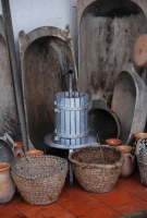 Téli séta a mennyei Tokaj-Hegyalján