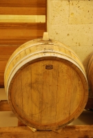 Téli séta a mennyei Tokaj-Hegyalján