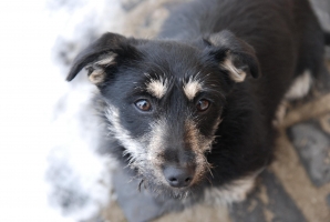 Téli séta a mennyei Tokaj-Hegyalján