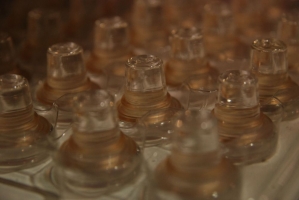 Agro+Mashexpo, Szőlészet és Pincészet és Magyar Kert kiállítás