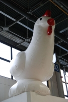 Agro+Mashexpo, Szőlészet és Pincészet és Magyar Kert kiállítás