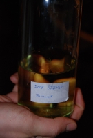 Szepsy-Oremus kóstoló