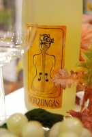 Utazás térben és időben