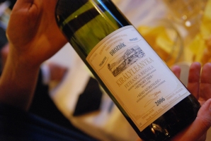 A Felvidék gyöngyszemei