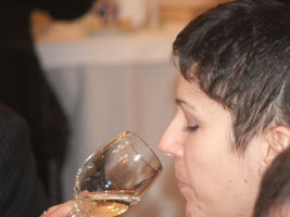 Pest megye bora verseny