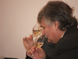 Pest megye bora verseny