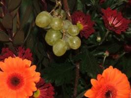 Pest megye bora verseny