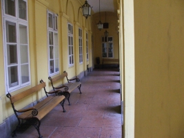 Pest megye bora verseny