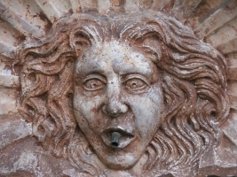 Pest megye bora verseny