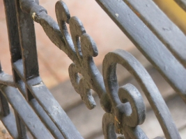 Pest megye bora verseny