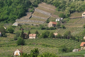 Somlói Tavasz Fesztivál 2009