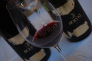 Junibor nap a Corvinuson