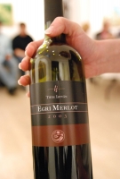 Egri borok a Vármegye Galériában