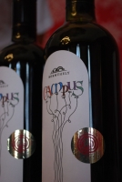 Új évjárat Szekszárdról