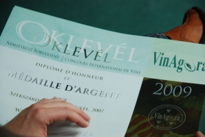 VinAgora Borgála és díjátadás