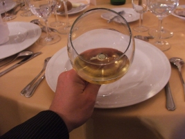 10. Jubileumi Pannon Bormustra