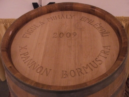 10. Jubileumi Pannon Bormustra