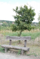 Megérkezett az ősz