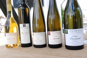 Megérkezett az ősz