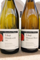 Megérkezett az ősz