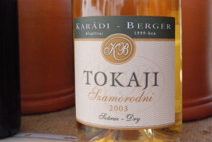 Megérkezett az ősz