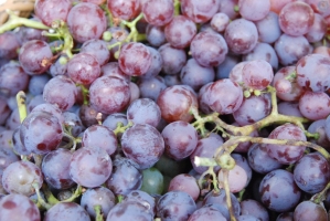 Megérkezett az ősz