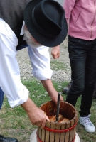 Megérkezett az ősz