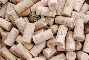 Megérkezett az ősz