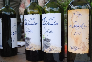 Megérkezett az ősz