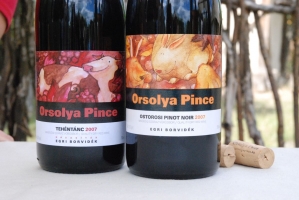 Megérkezett az ősz