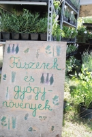 Megérkezett az ősz