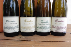 Megérkezett az ősz