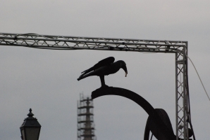 És a tömeg nem csökken... (folytatás a Budai várból)