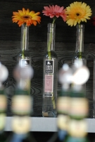 Erősítés italból és kolbászból