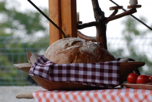 Erősítés italból és kolbászból