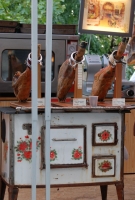 Erősítés italból és kolbászból