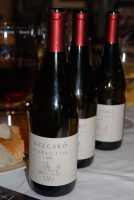 Zwack Open, 2007. tél