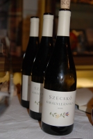 Zwack Open, 2007. tél