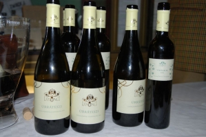 Zwack Open, 2007. tél