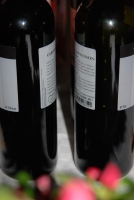 Zwack Open, 2007. tél