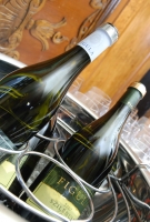 Halak és házi túró