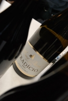 Balaton Borgaléria borbemutató