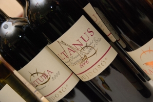 Balaton Borgaléria borbemutató