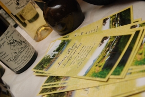 Balaton Borgaléria borbemutató